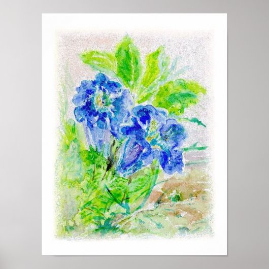 Pflanze blau Blüten Illustration Poster (Vorne)