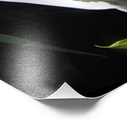 Pflanze Bloral Fotodruck (Ecke)