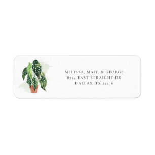 Pflanze Botanische Rücksendeadresse