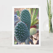 Pflanze Bunny Ears Cactus Karte (Vorderseite)