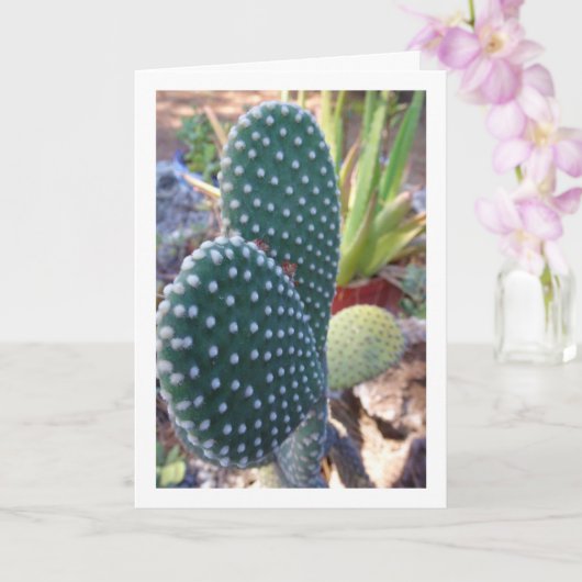 Pflanze Bunny Ears Cactus Karte (Orchidee)