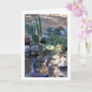 Pflanze Bunny Ears Cactus Karte