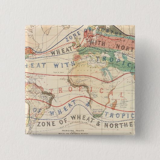 Pflanze Button (Vorderseite)