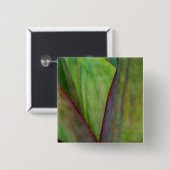 Pflanze Button (Vorne & Hinten)