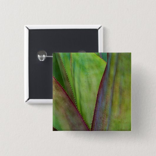 Pflanze Button (Vorne & Hinten)