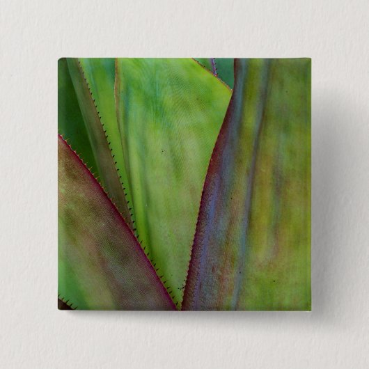 Pflanze Button (Vorderseite)