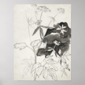 Pflanze | Carel Adolph Cachet Poster (Vorne)