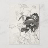 Pflanze | Carel Adolph Cachet Postkarte (Vorderseite)