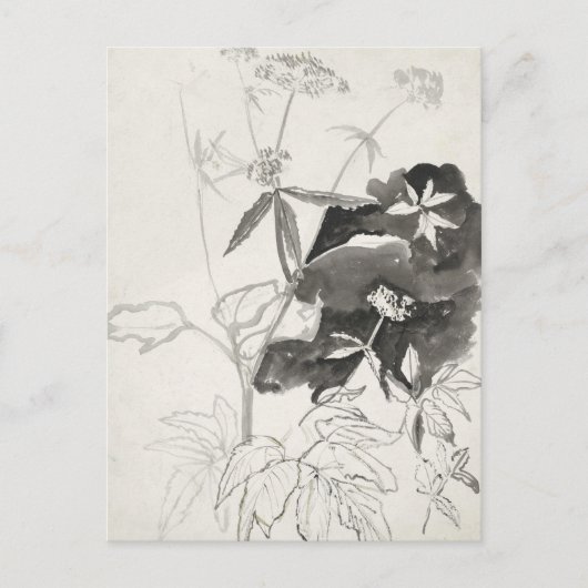 Pflanze | Carel Adolph Cachet Postkarte (Vorderseite)