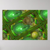 Pflanze Cells Poster (Vorne)