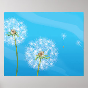 Pflanze Dandelion Poster