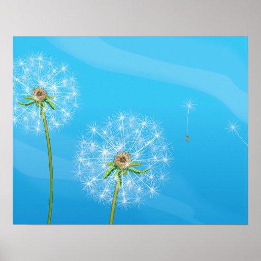 Pflanze Dandelion Poster (Vorne)