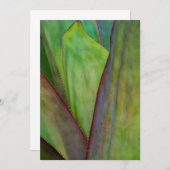 Pflanze Dankeskarte (Vorne/Hinten)