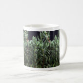 Pflanze Delosperma Kaffeetasse (VorderseiteRechts)