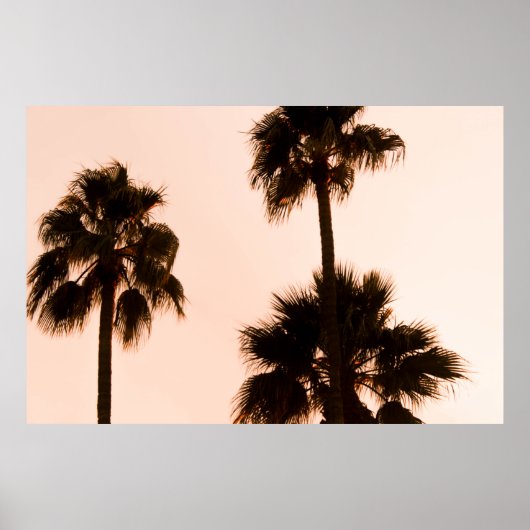 PFLANZE DER FOTOGRAFIE MIT GERINGEM WINKEL POSTER (Vorne)