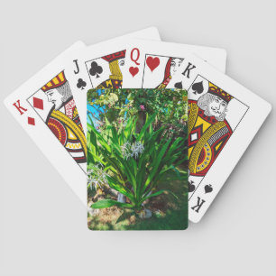 Pflanze der Sumpflöte Spielkarten