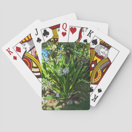 Pflanze der Sumpflöte Spielkarten (Rückseite)