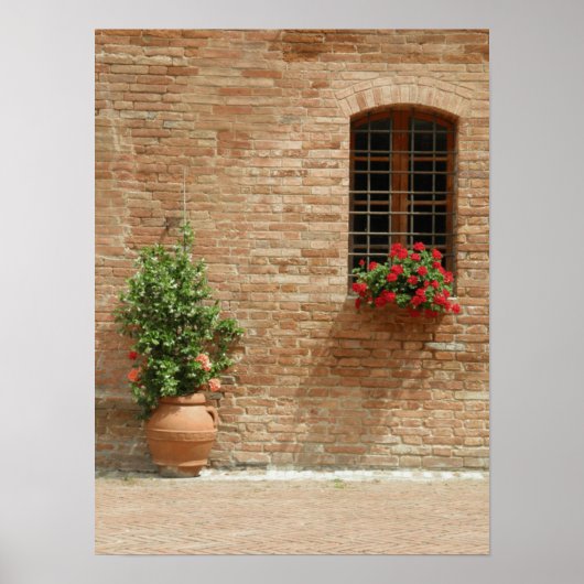 Pflanze der Toskana Poster (Vorne)