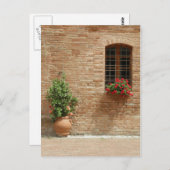 Pflanze der Toskana Postkarte (Vorne/Hinten)