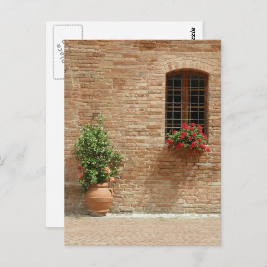 Pflanze der Toskana Postkarte (Vorne/Hinten)