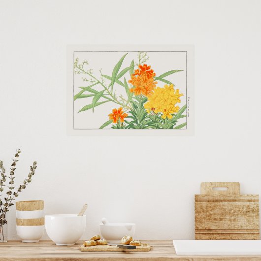 Pflanze der Wallblumen, Gelb- und Orangenblume, Bl Poster (Küche)