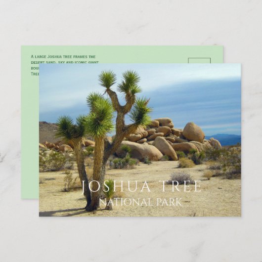 Pflanze der Wüste, Riesenboulder, Joshua Tree NP C Postkarte (Vorne/Hinten)