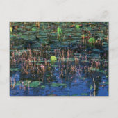 Pflanze des Feuchtgebiets in Okefenokee National W Postkarte (Vorderseite)