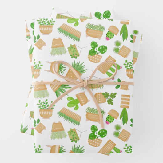 Pflanze des Hauses Kaktus auf weißem Umschlagpapie Geschenkpapier Set (Beispiel)