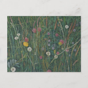 Pflanze des Machair 2008 Postkarte