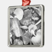 Pflanze des Teiches und Schwarz/Weiß Silbernes Ornament (Links)