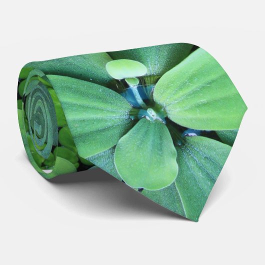 Pflanze des Wassers Krawatte (Gerollt)