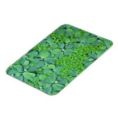 Pflanze des Wassers Magnet (Linke Seite)