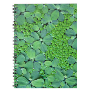Pflanze des Wassers Notizblock