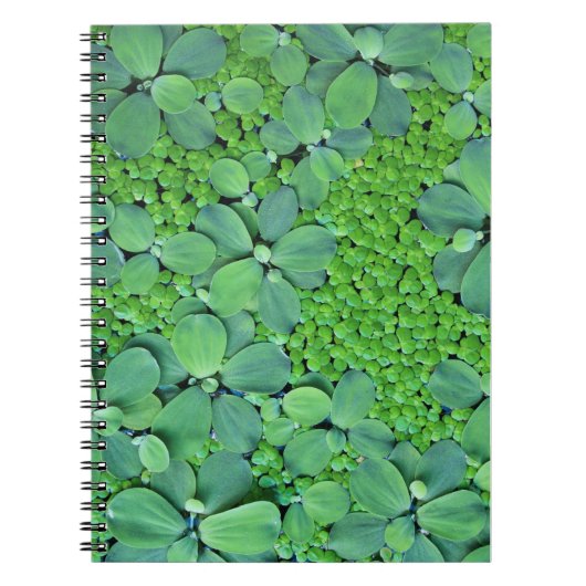 Pflanze des Wassers Notizblock (Vorderseite)