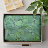 Pflanze des Wassers Seidenpapier (Geschenk)