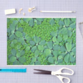 Pflanze des Wassers Seidenpapier (Handwerk)