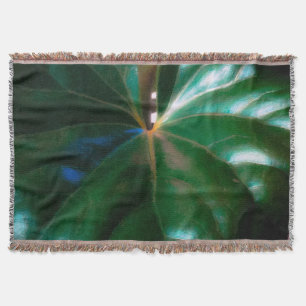 Pflanze des Zugsattelsitzes Decke