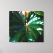 Pflanze des Zugsattelsitzes Leinwanddruck (Vorderseite)