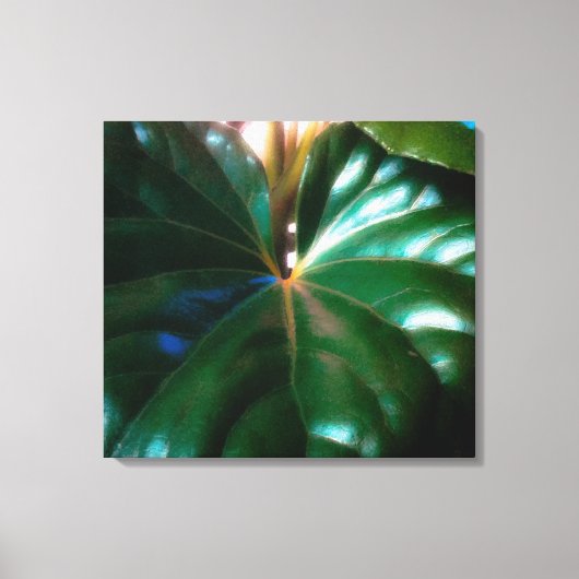 Pflanze des Zugsattelsitzes Leinwanddruck (Vorderseite)