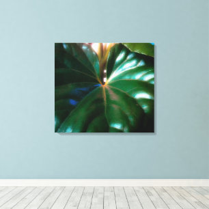 Pflanze des Zugsattelsitzes Leinwanddruck