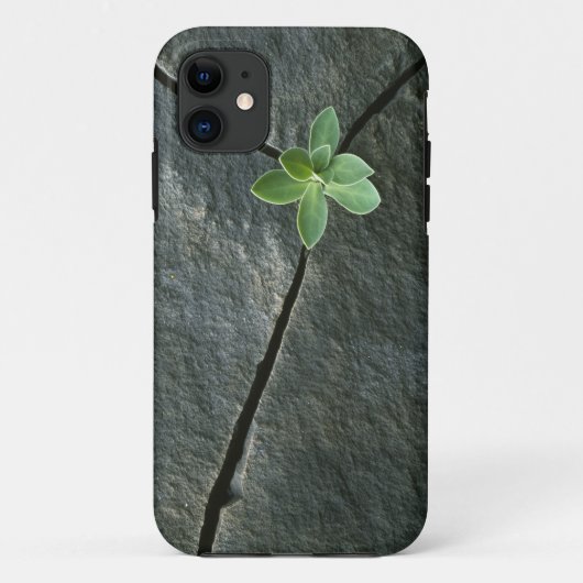 Pflanze, die in gebrochenem Boulder wächst Case-Mate iPhone Hülle (Rückseite)