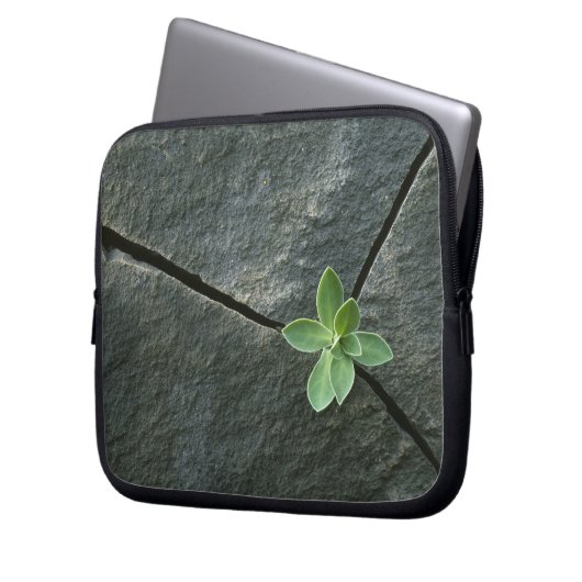 Pflanze, die in gebrochenem Boulder wächst Laptopschutzhülle (Vorderseite Links)