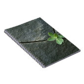 Pflanze, die in gebrochenem Boulder wächst Notizblock (Rechte Seite)