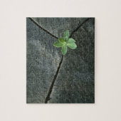 Pflanze, die in gebrochenem Boulder wächst Puzzle (Vertikal)