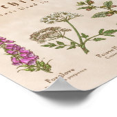 Pflanze drucken poster (Ecke)