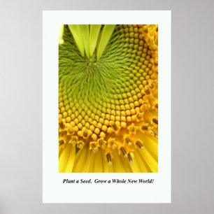 Pflanze ein Samen. Wachsen Sie eine ganze neue Poster