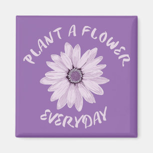 Pflanze Eine Blume Alltag Magnet