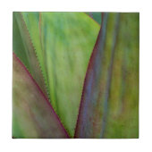 Pflanze Fliese (Vorderseite)