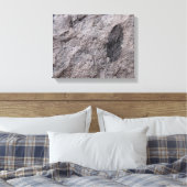 Pflanze Fossil 350 Millionen Yr. Altes Foto drucke (Insitu (Schlafzimmer))