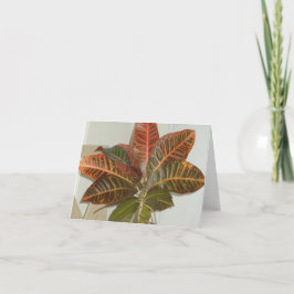 Pflanze-Foto-Leerlaufkarten Feiertagskarte